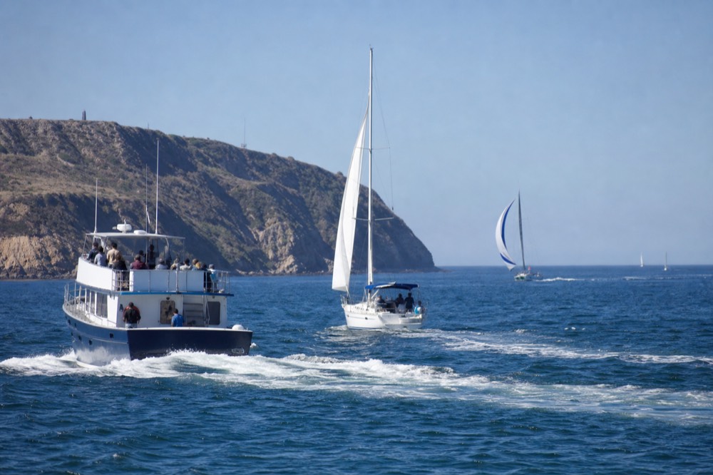 A whale watching boat and sailboats sharing San Diego Bay near the harbor entrance, no text, no logos, no people