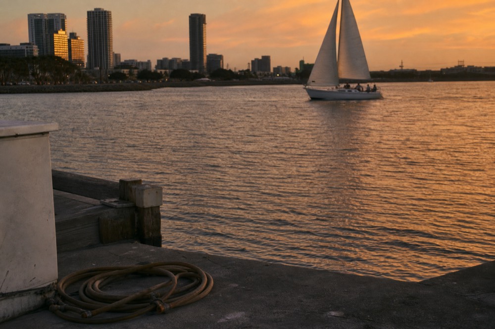 A sailboat gliding across San Diego Bay as evening light settles, no text, no logos, no people