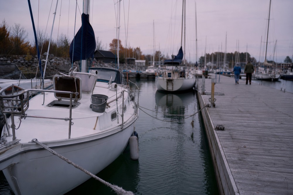Small sailboats moored at a quiet marina with masts against a soft evening sky, no text, no logos, no people