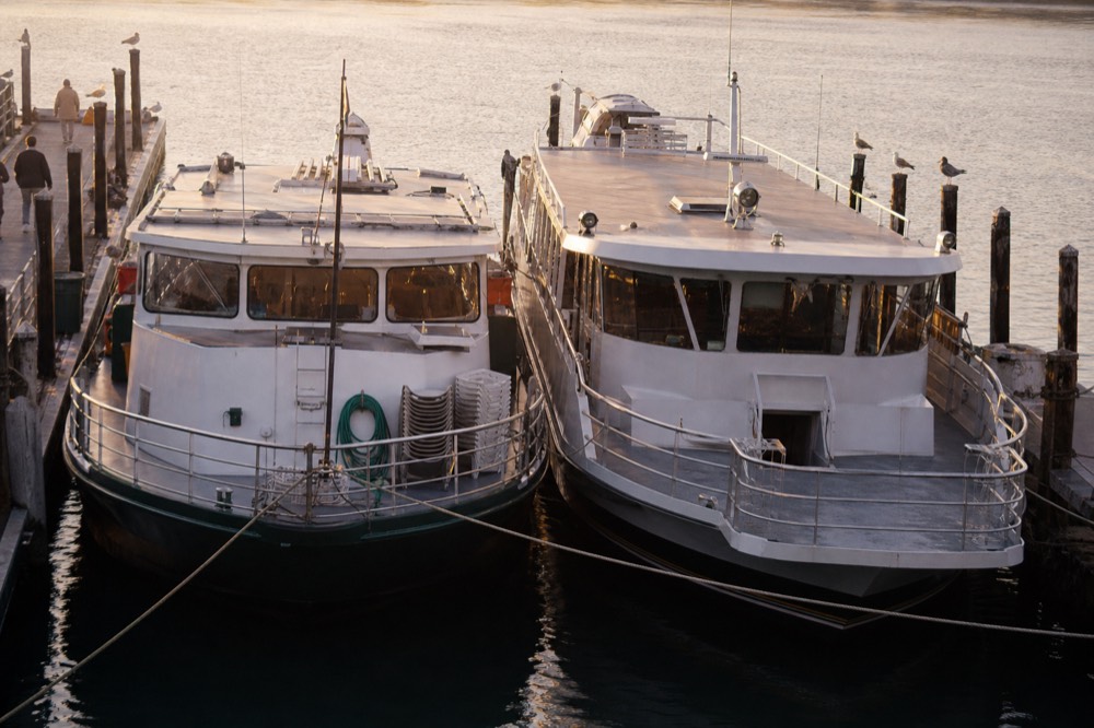 Two sightseeing boats moored at adjacent piers on the San Diego Embarcadero, no text, no logos, no people