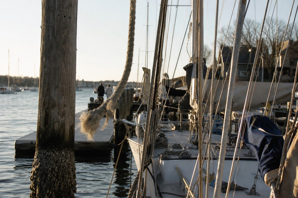 Masts and rigging of sailboats at a Harbor Island dock in late afternoon light, no text, no logos, no people
